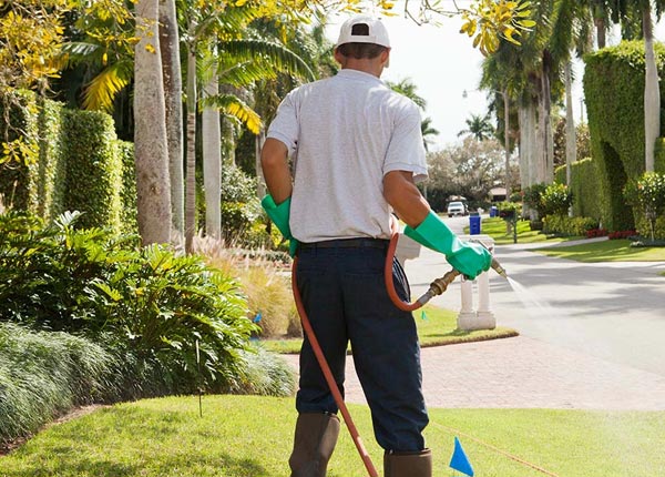 About Ridgeway WI Pest Control